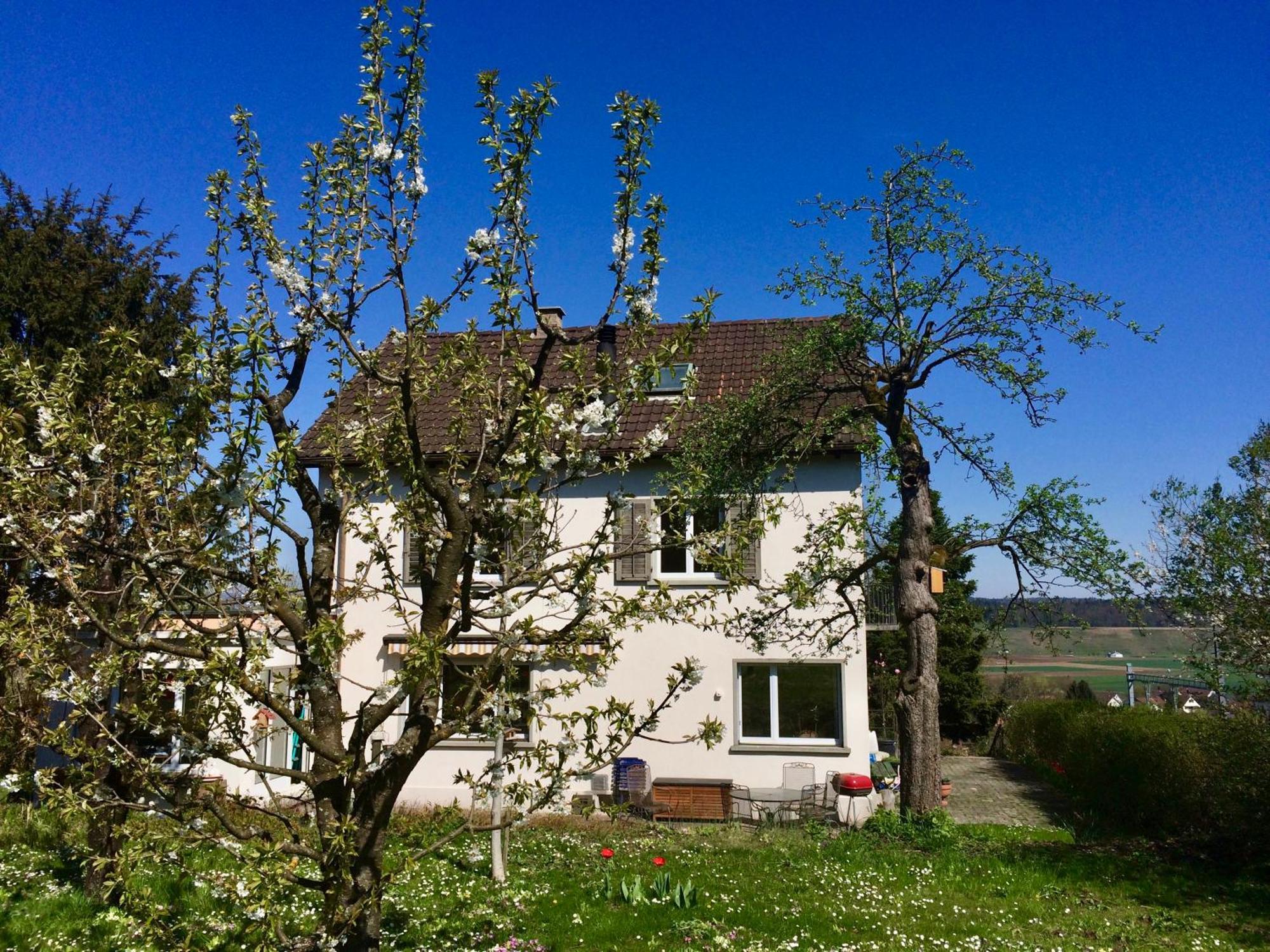 Guntli'S Family Guesthouse Andelfingen ภายนอก รูปภาพ
